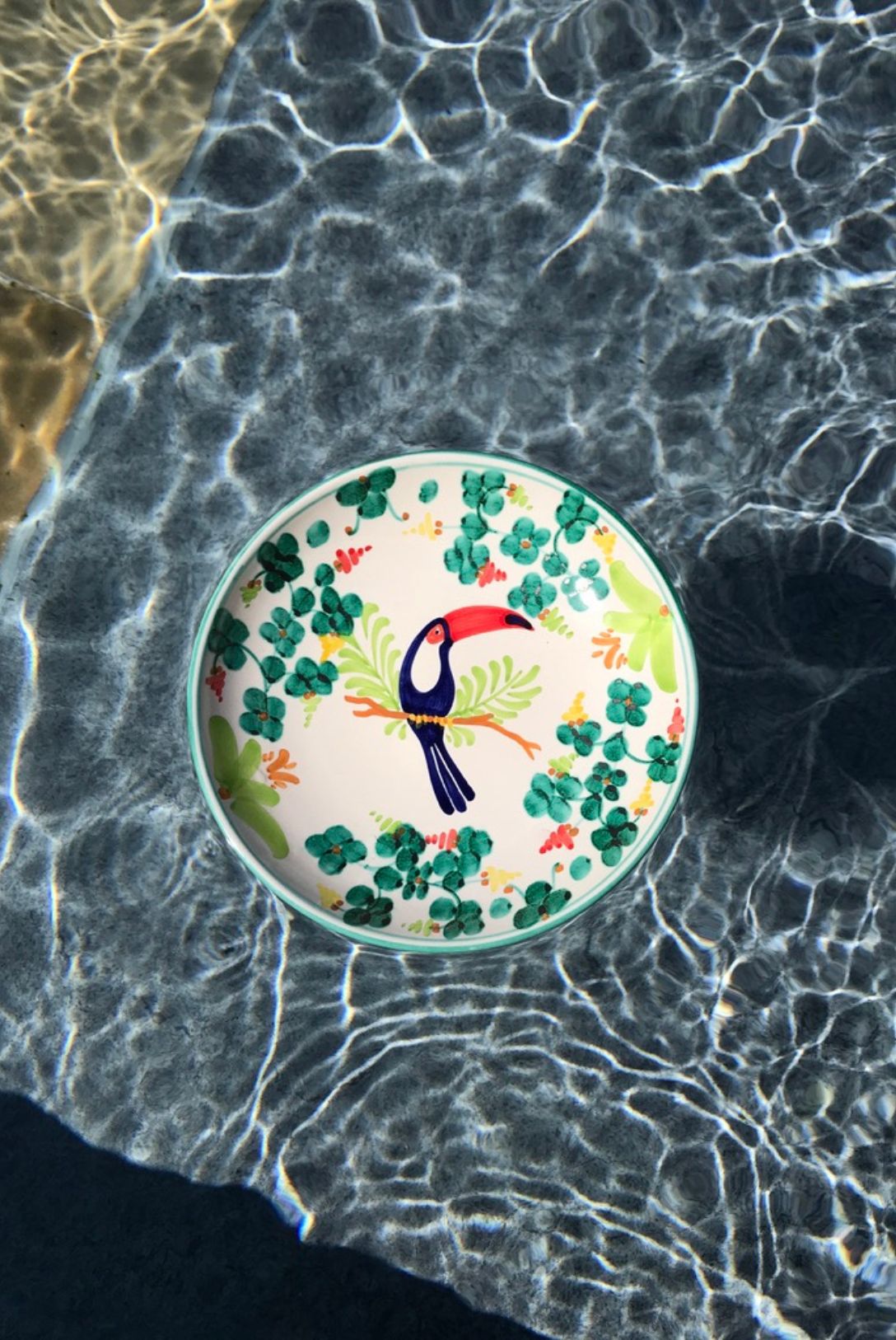 dimanche vaisselle assiette animal toucan 